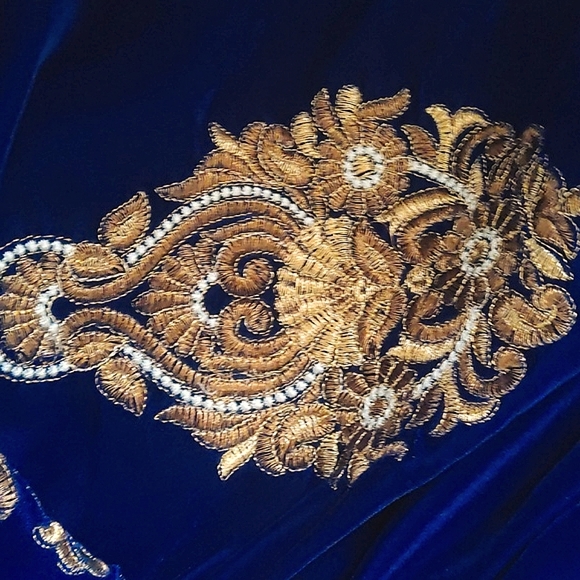 DESIGNER Rose gold & pearl Lace & Velvet embroidered half & half saree W/ Blouse - Picture 10 of 16